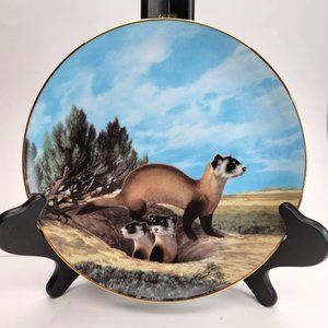 Black Footed Ferret Plate Endangered Species Animals Collectible Bradford Pd83